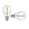 Trio 2 Ampoules LED E27, 4W, 470lm