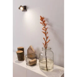 Zuiver Applique Design Luci 1 Led Dimmable -Magasin À Domicile applique design luci 1 led dimmable 2