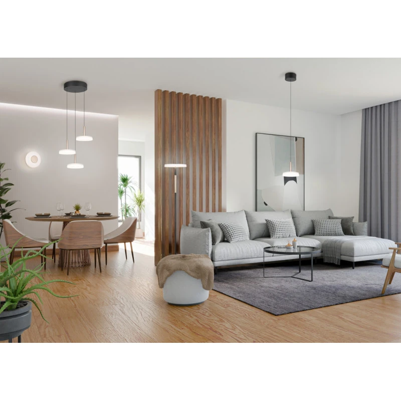 Trio Applique / Plafonnier Led Rond - CELESTE 4 Trio Applique / Plafonnier Led Rond - CELESTE – Image 2