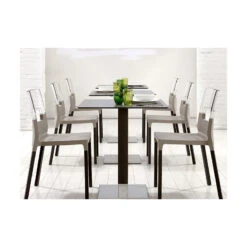 Chaise Translucide Natural Diva Par Scab Design -Magasin À Domicile chaise translucide natural diva par scab design 2