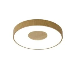 Plafonnier Rond COIN En LED 50cm - Mantra
