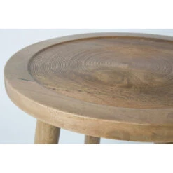 Table Basse Bohème Dendron En Bois De Manguier Zuiver -Magasin À Domicile table basse boheme dendron en bois de manguier zuiver 4